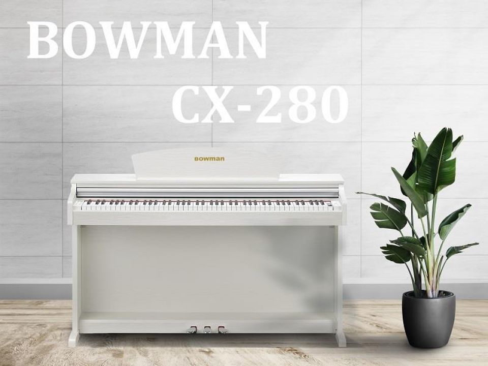 CX280 WH