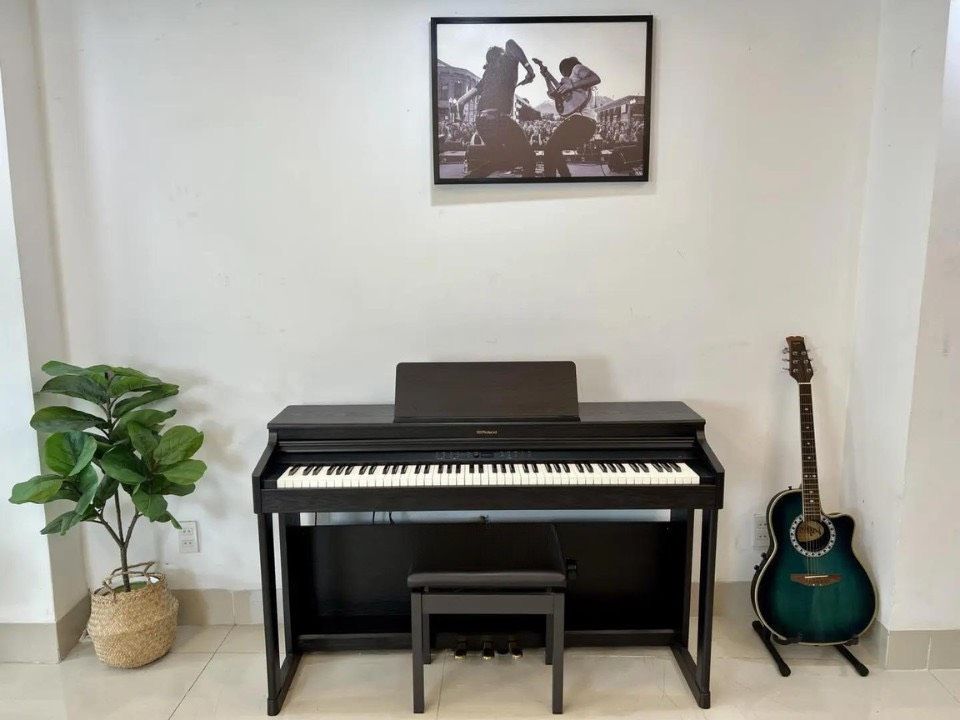 ROLAND RP-701 DR (Used)