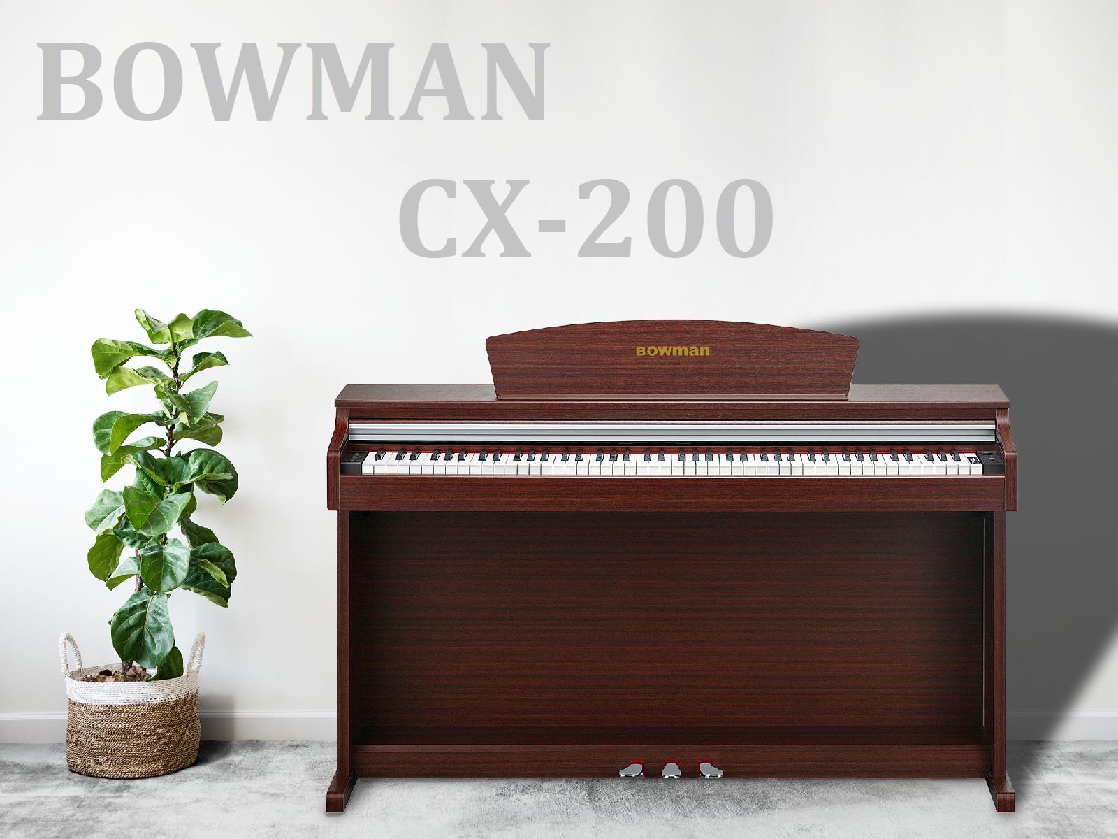 Bowman PIANO Viá»t Nam -