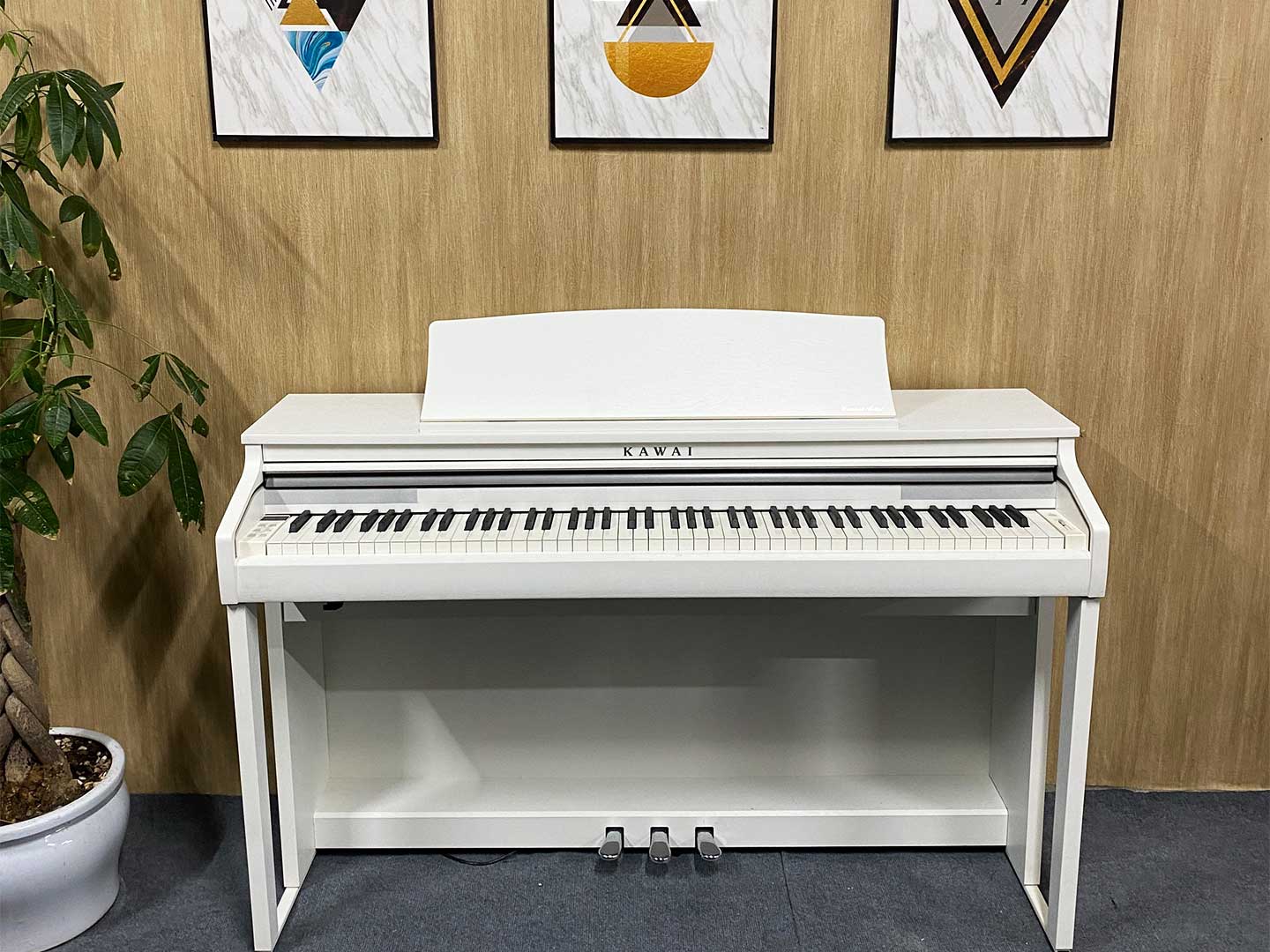 đàn piano điện kawai ca48