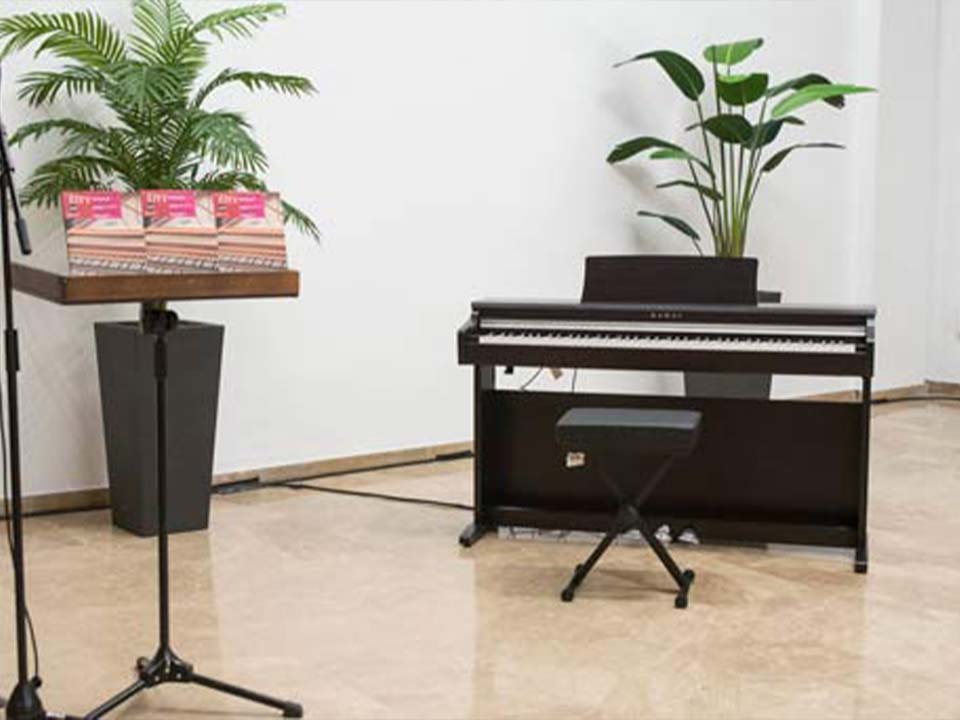 Kawai KDP-110