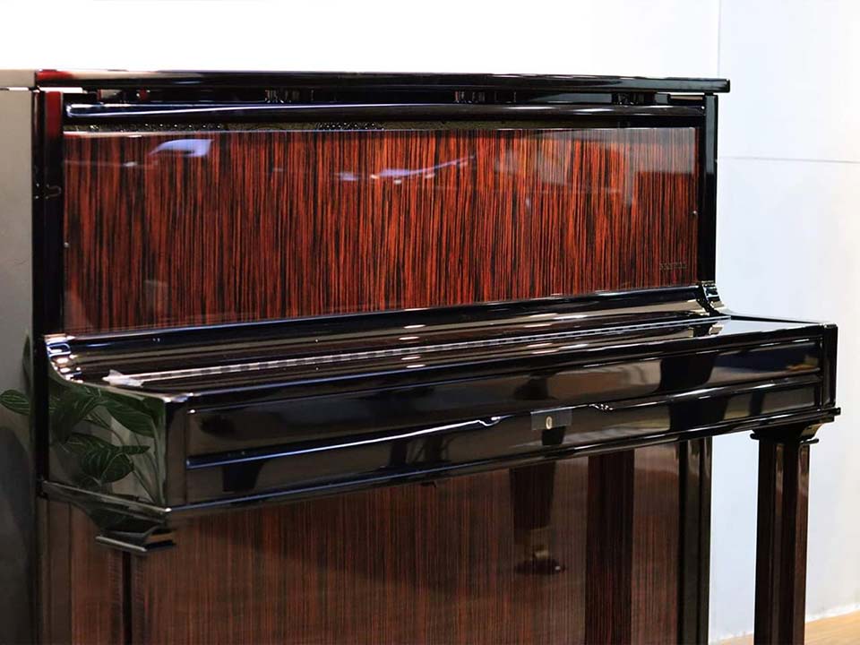 đàn piano behning dx 1m